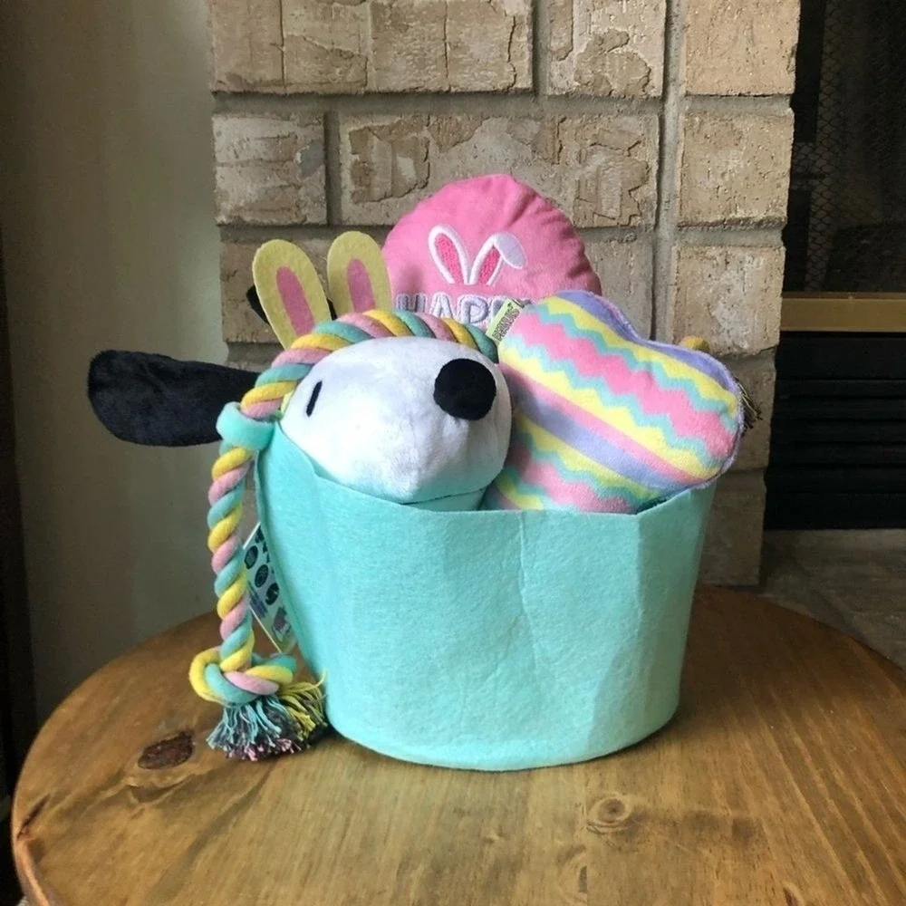 Peanuts Plush Dog Toys in Colorful Easter Basket: Egg, Bone, Snoopy Head NEW